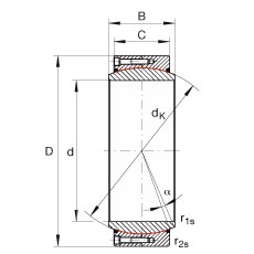 Bearing GE1000-DW-2RS2